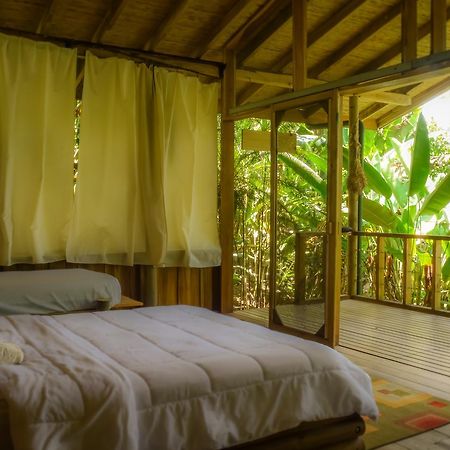 Pacuare Outdoor Center Ξενοδοχείο Τουριάλμπα Εξωτερικό φωτογραφία