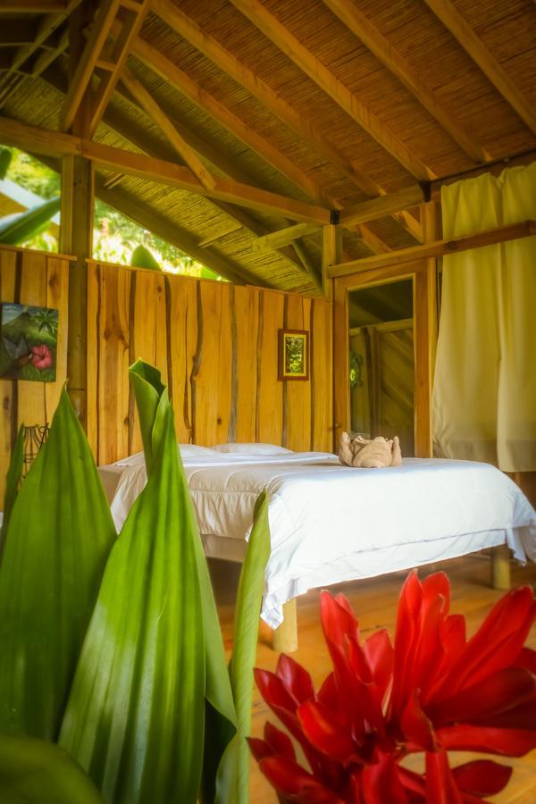 Pacuare Outdoor Center Ξενοδοχείο Τουριάλμπα Εξωτερικό φωτογραφία