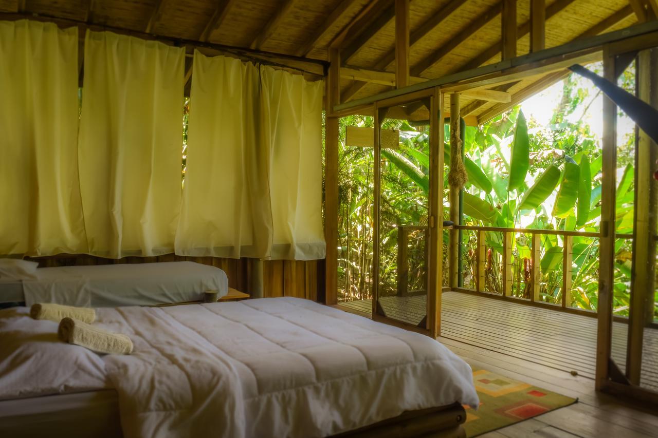 Pacuare Outdoor Center Ξενοδοχείο Τουριάλμπα Εξωτερικό φωτογραφία