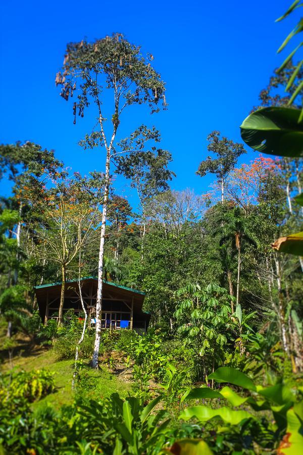 Pacuare Outdoor Center Ξενοδοχείο Τουριάλμπα Εξωτερικό φωτογραφία