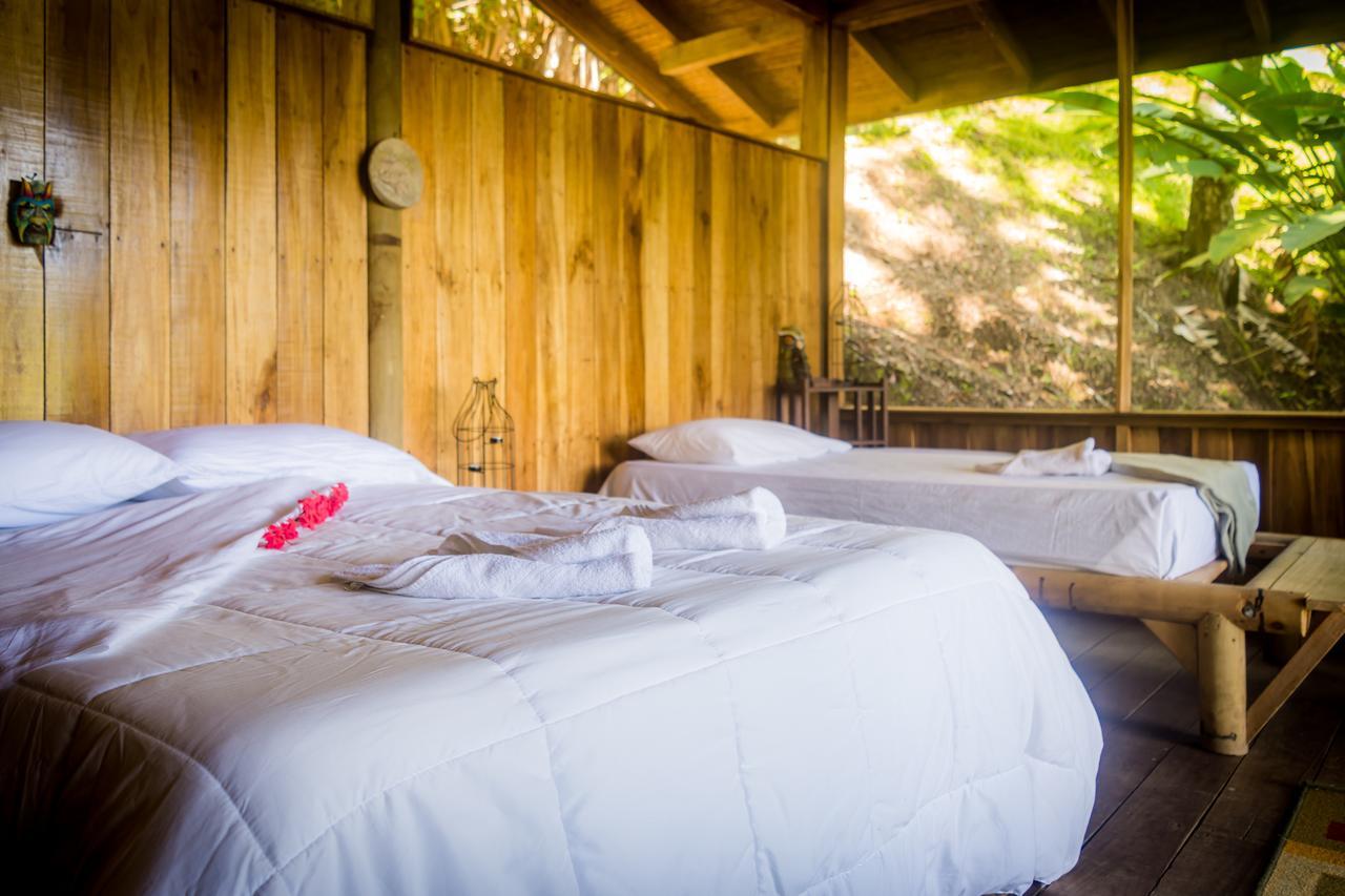 Pacuare Outdoor Center Ξενοδοχείο Τουριάλμπα Εξωτερικό φωτογραφία