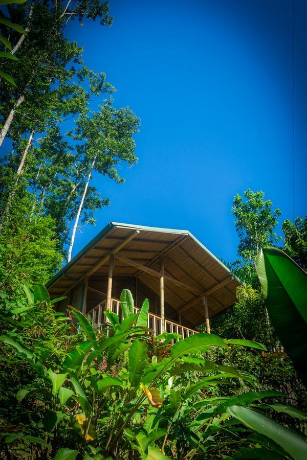 Pacuare Outdoor Center Ξενοδοχείο Τουριάλμπα Εξωτερικό φωτογραφία