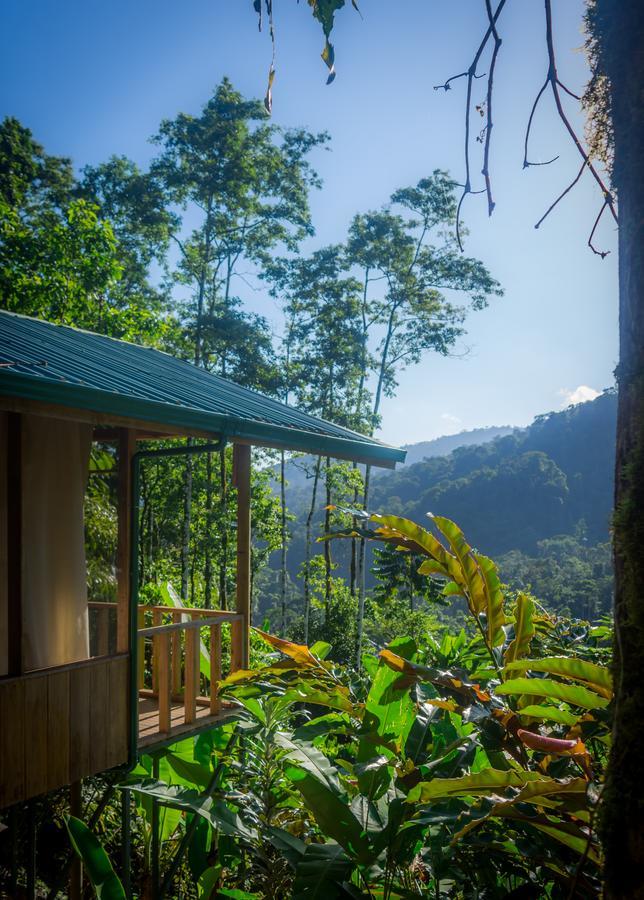 Pacuare Outdoor Center Ξενοδοχείο Τουριάλμπα Εξωτερικό φωτογραφία
